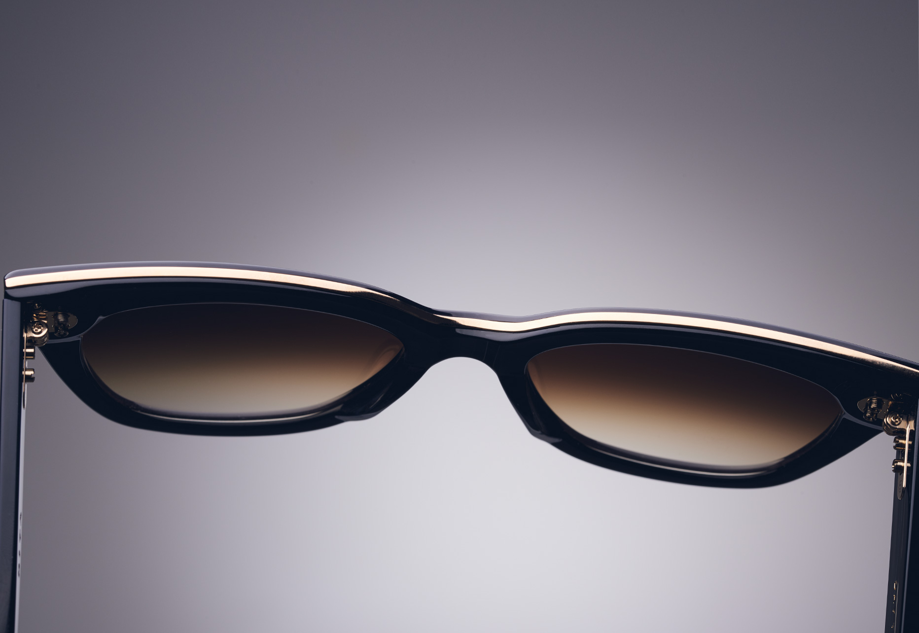 THIN TITANIUM INLAY EXTENDS THE ENTIRE LENGTH OF THE FRAME